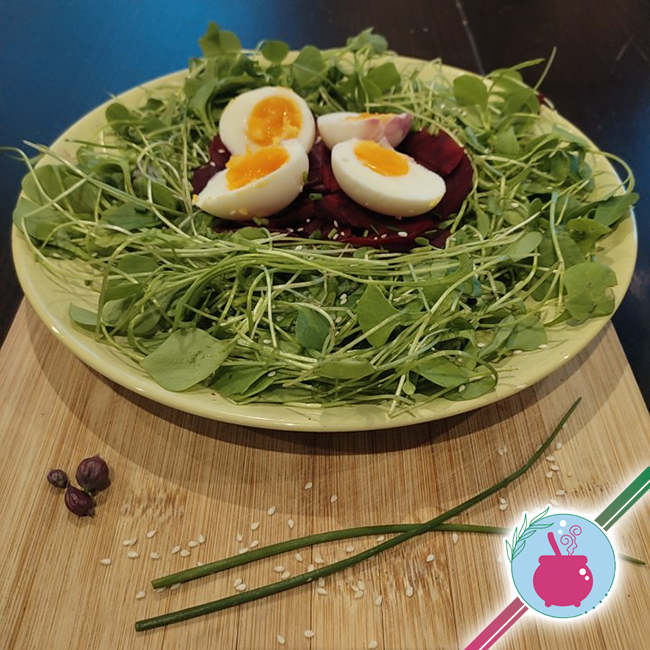 photo salade pourpier et betterave crue